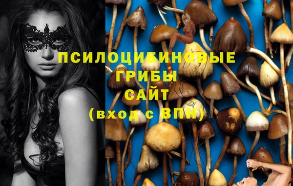 хмурый Няндома