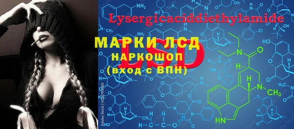 СК Аркадак