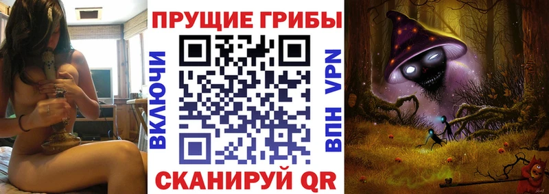 цена   Рыльск  Псилоцибиновые грибы MAGIC MUSHROOMS 