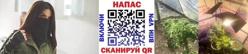 наркота  Рыльск  даркнет Telegram  Бошки Шишки гибрид 